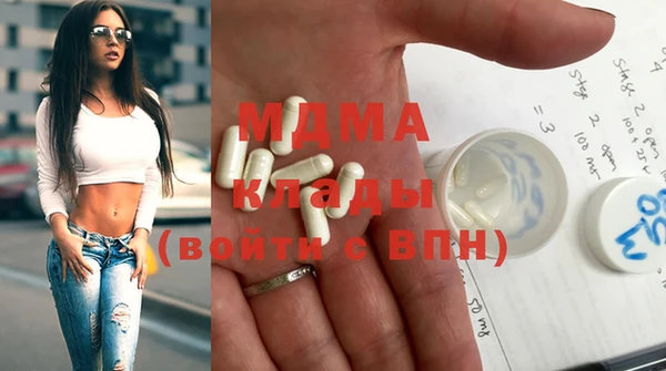 дмт Ельня