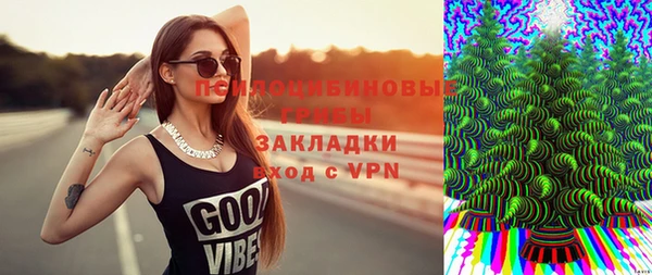 a pvp Алексин