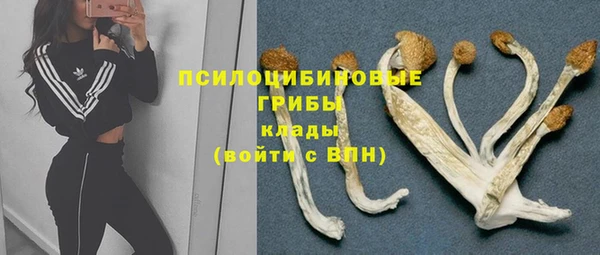 a pvp Алексин