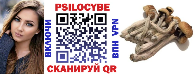 Псилоцибиновые грибы Psilocybine cubensis  Ачинск 